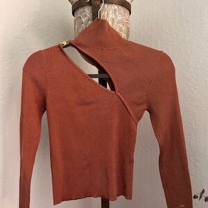 Zara cut-out chic turtleneck in Rust